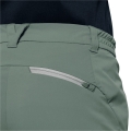 jack_wolfskin_overland_pants_w_hedge_green_1506143_4311_4263-1.jpg