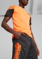 658293-50_5.jpg