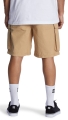 adyws03068_dcshoes,w_cjz0_bck1.jpg