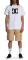 adyws03068_dcshoes,w_cjz0_frt9.jpg
